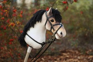 Galerie HobyHorse